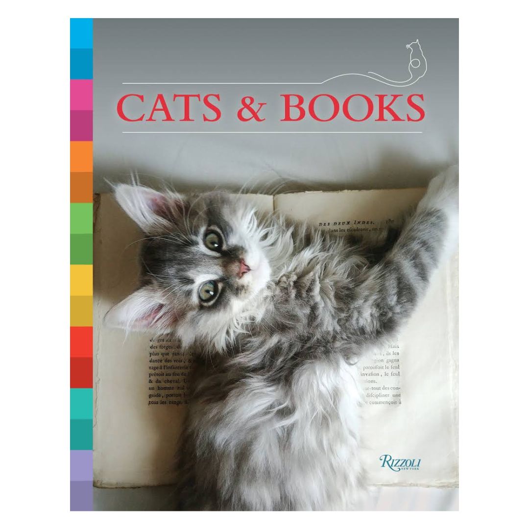 How to Pet a Cat Book